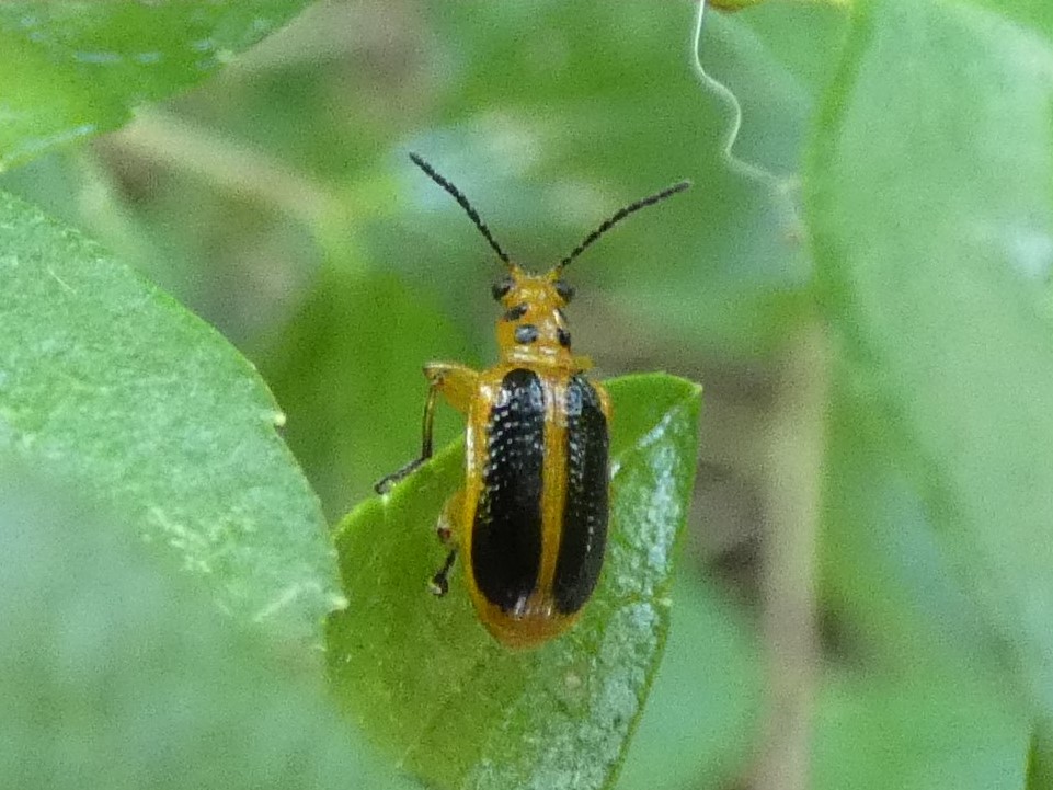 photo_2